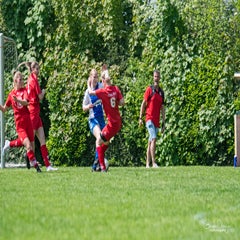 dsc_87262.jpg