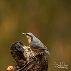 dsc_83423.jpg