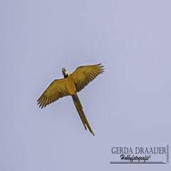 dsc_52962.jpg