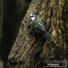 dsc_84202.jpg