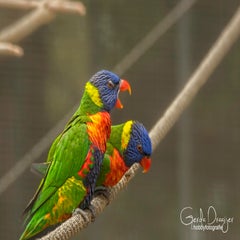 dsc_78963.jpg