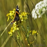 Lofar 11-09-2020