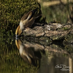 dsc_98002.jpg