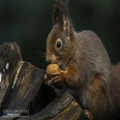 dsc_80102.jpg