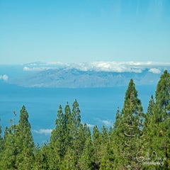 dsc_51083.jpg