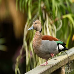 dsc_17102.jpg