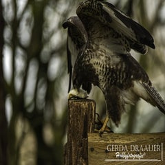 dsc_69522.jpg