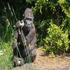 dsc_11613.jpg
