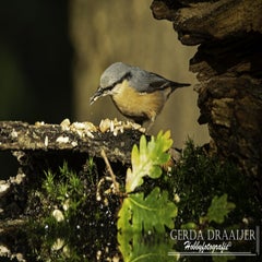 dsc_61702-1.jpg