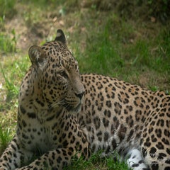 dsc_0610-3-standard.jpg