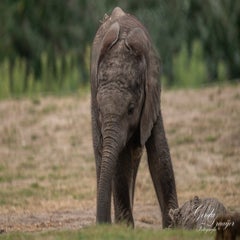 dsc_0653-3-standard.jpg