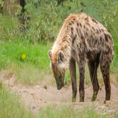 dsc_0672-3-standard.jpg