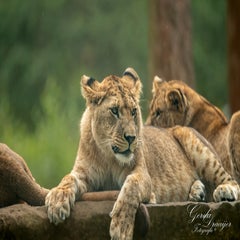 dsc_0674-3-standard.jpg