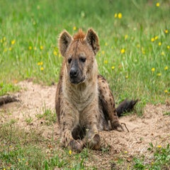 dsc_0704-3-standard.jpg