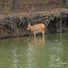 dsc_0725-3-standard.jpg