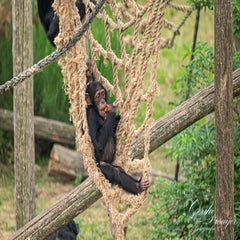 dsc_0775-3-standard.jpg