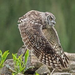 dsc_0817-3-standard.jpg