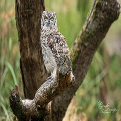 dsc_0823-3-standard.jpg