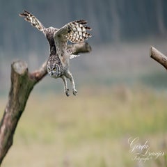 dsc_0827-3-standard.jpg