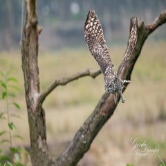 dsc_0828-3-standard.jpg