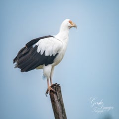 dsc_0829-3-standard.jpg