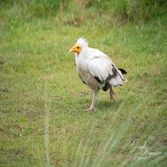 dsc_0840-3-standard.jpg