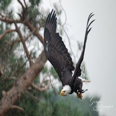 dsc_0879-3-standard.jpg