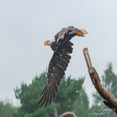 dsc_0893-3-standard.jpg