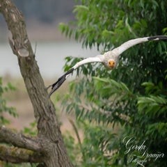 dsc_0894-3-standard.jpg