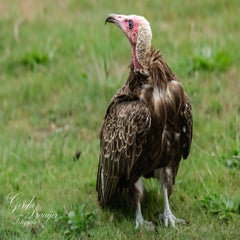 dsc_0952-3-standard.jpg