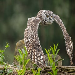 dsc_1060-3-standard.jpg