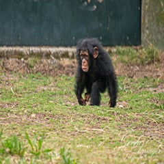dsc_1140-3-standard.jpg