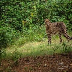 dsc_1253-3-standard.jpg