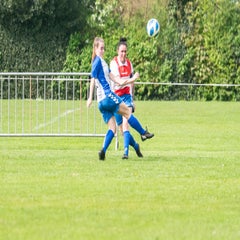 dsc_1568-2-standard.jpg