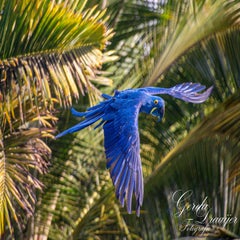 dsc_1880-3-standard.jpg