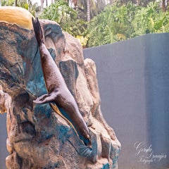 dsc_2044-3-standard.jpg