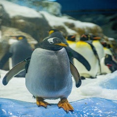 dsc_2094-3-standard.jpg