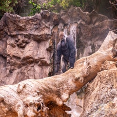 dsc_2131-3-standard.jpg
