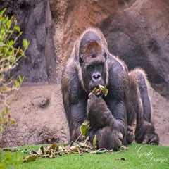 dsc_2142-3-standard.jpg