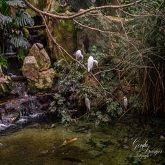 dsc_2162-3-standard.jpg