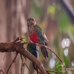 dsc_2189-3-standard.jpg