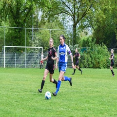 dsc_2200-2-standard.jpg