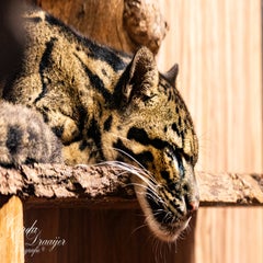 dsc_2738-3-standard.jpg