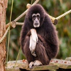 dsc_2759-3-standard.jpg