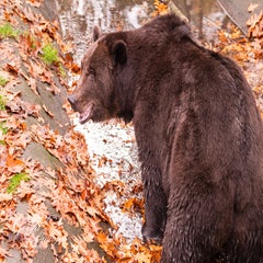 dsc_2768-3-standard.jpg
