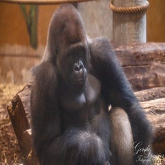 dsc_2812-3-standard.jpg