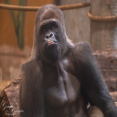 dsc_2818-3-standard.jpg