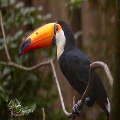 dsc_2824-3-standard.jpg