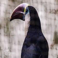 dsc_2829-3-standard.jpg