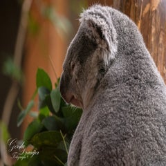 dsc_2840-3-standard.jpg
